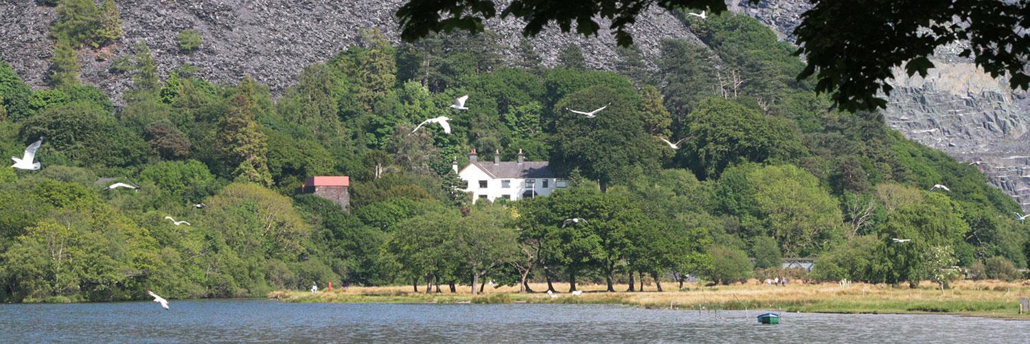 Padarn Apartment At Glanybala Holidays Llanberis Buitenkant foto